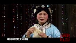 嫁媳·逼嫁
