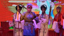 秦腔经典《杨门女将》选段，王雪琴精彩演绎，尽显老道韵味下载