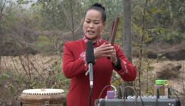 河南坠子《八子英雄传》全集下载 袁瑞英经典演绎 传统曲艺精彩呈现