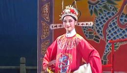 桃李梅·高中除霸