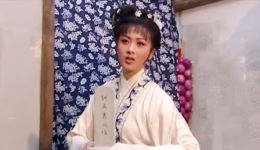越剧《何文秀·桑园访妻》全场视频下载-王清张亚洲主演高清戏曲mp4/mp3资源下载