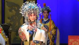 保定老调《潘杨讼》名段金殿顶本下载，赵欣颖李佳伟精彩演绎