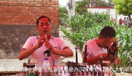 涛声依旧