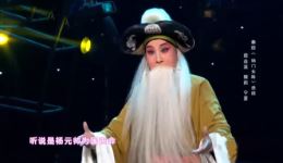秦腔《杨门女将》选段屈莲英精彩演绎，做功一流，不容错过下载