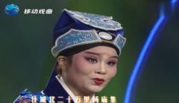 罗爱华道情《王金豆借粮》选场在线观看，太康道情经典戏曲资源下载