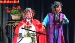 陈若霖斩皇子
