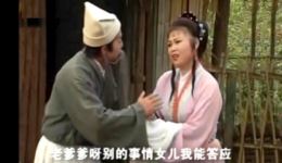 安徽庐剧经典《调包》在线观看与下载，夏小二精彩演绎，喜剧剧情不容错过下载