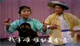 卖红菱