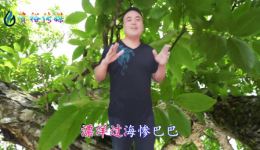 贵州山歌《大家不要学赌钱》贵裕演唱，劝诫远离赌博，附完整剧情与下载资源