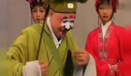 七品芝麻官后传