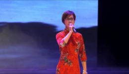 盘夫索夫,碧玉簪