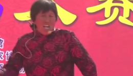 河南坠子《丑夫俊妻》在线下载，经典曲艺作品免费获取