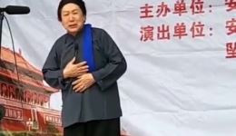 河南坠子《婆婆》经典戏曲下载，家庭伦理佳作在线获取