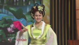 正宗传统二人转《杨八姐游春》全场高清下载，小豆豆演绎经典，速存！下载