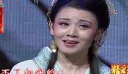 韩再芬黄梅戏《山河之恋》选段下载，经典唱腔演绎山水爱情，高清资源速取下载