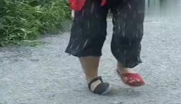 民间小调《傻妮》高清下载｜趣味生活题材戏曲资源免费获取