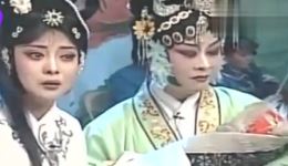 豫剧经典《泪洒相思地》王红丽倾情演绎，凄美爱情故事在线下载下载