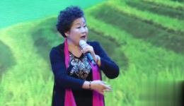 豫剧《穆桂英下山》黄爱菊经典演绎，忠勇传奇与巾帼风采全收录下载