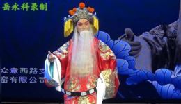 豫剧《对花枪》选段张新建演绎经典，韵味十足唱腔在线畅听