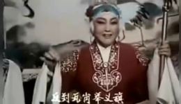 花枪缘