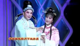 锡剧《湖水情》选段李桂英与小王彬彬联袂演唱，经典唱段精彩呈现下载