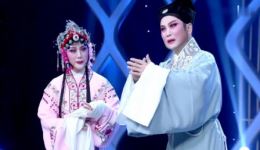 锡剧《珍珠塔·前园会》李桂英小王彬彬演唱 经典片段在线下载下载