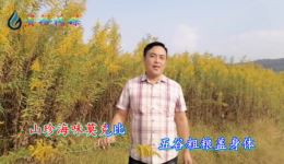 贵州山歌《人生短暂要珍惜》贵裕演唱 正版山歌资源下载