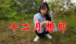 十二月想郎
