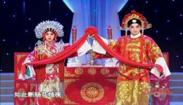 粤剧经典《蒂花女之香夭》陆志鹏林小叶倾情演绎，精彩剧情不容错过！下载