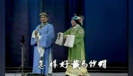 锡剧《珍珠塔·羞姑》王彬彬汪韵芝经典演唱，传统戏曲选段下载下载