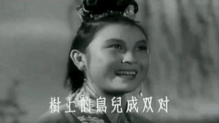 天仙配·树上的鸟儿成双对