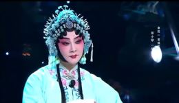 秦腔《窦娥冤》选段下载梅花奖张小琴倾情演唱，经典戏曲在线收听
