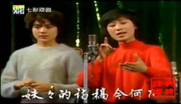 红楼梦·问紫鹃