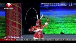 陆文龙归家
