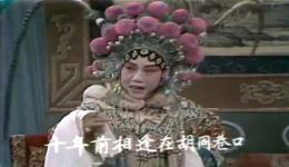 女审