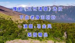 马金凤豫剧《五世请缨》选段在线观看，经典戏曲资源下载下载