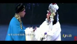 豫剧《白蛇传》连德志专业演绎，经典戏曲资源在线下载，感受传统艺术魅力