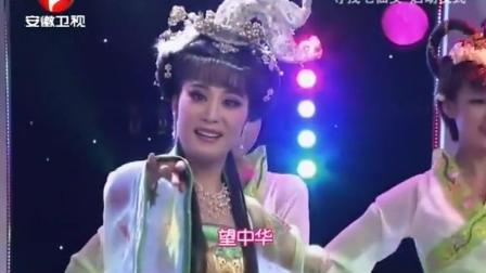 戏歌《天女花》吴美莲深情演绎，悠扬旋律传递天女散花浪漫意境，经典艺术在线畅享下载