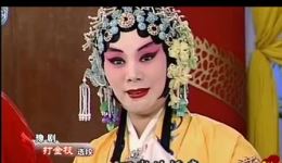 豫剧《打金枝》苗文华名家名段精选，经典戏曲在线欣赏下载