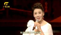 黄梅戏《女驸马》选段高清下载 韩再芬名家演唱 经典戏曲资源在线观看下载
