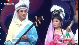 越剧《沙漠王子》选段MP3下载，经典戏曲资源在线获取