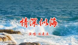 情深似海
