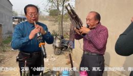 河南越调