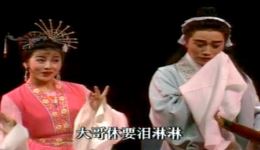 黄梅戏《天仙配路遇》韩再芬马自俊演唱MP4视频下载 经典戏曲资源下载