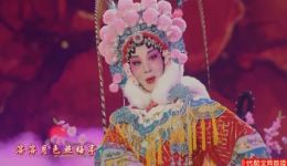 百花赠剑