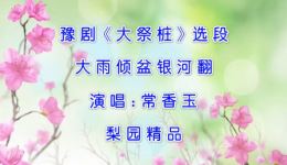 大祭桩