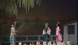 扬剧《秦香莲后传》全剧上集在线观看 扬州市江都扬剧团正版演出资源