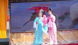 庐剧《白兰花》高清资源下载，夏先明武继主演经典民间爱情大戏