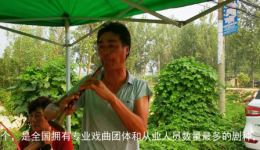 唢呐高手精彩演绎河南豫剧经典旋律,沉浸式唤醒家乡记忆! 唢呐高手精彩演绎河南豫剧经典旋律,沉浸式唤醒家乡记忆!