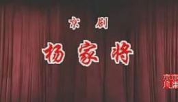 北京京剧院京剧《杨家将》高清正版下载，贯振山李崇善等名家演绎，忠烈传奇经典呈现下载